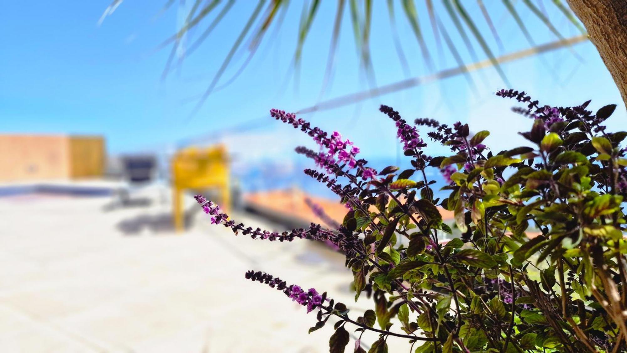 Eden Sun - A Modern Luxury Villa With A Panoramic View Prazeres Esterno foto